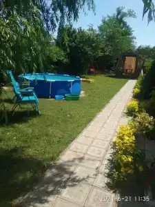 Лаванда Пересыпь - 27