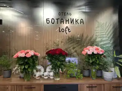 Ботаника Лофт - 4