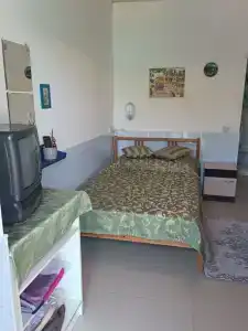 Лаванда Пересыпь - 46