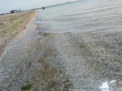 ЦСО Солнечный бриз - 16