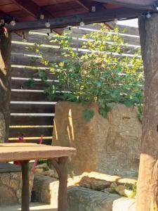 ЦСО Солнечный бриз - 9