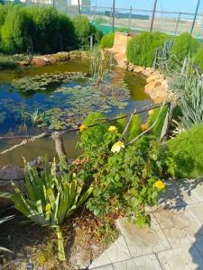 ЦСО Солнечный бриз - 3