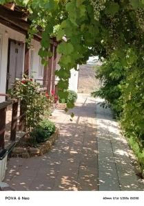 ЦСО Солнечный бриз - 2