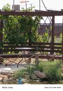 ЦСО Солнечный бриз - 6