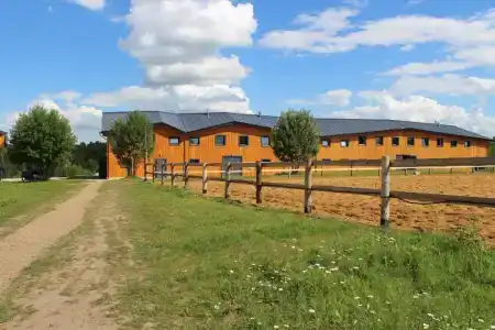 ЯсноПоле - 6