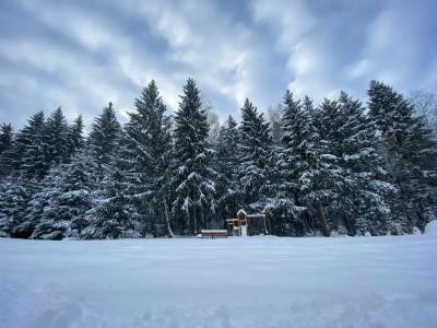 Никольские росы - 2