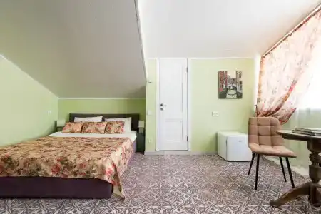 Серый Гусь - 1