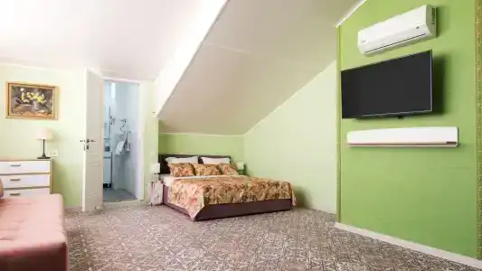 Серый Гусь - 5