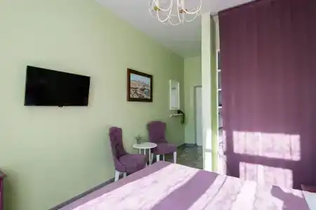 Серый Гусь - 15