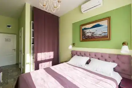 Серый Гусь - 20