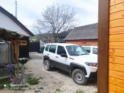 Светлячок - 21