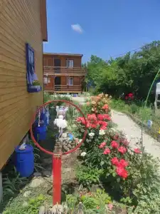 Светлячок - 12