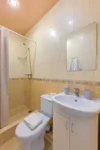 Золотая лоза - 29