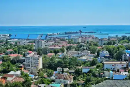 Роза Ветров - 57
