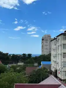 Золотая лоза - 69