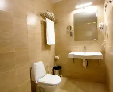 Palma Soneta - 37
