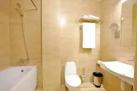 Palma Soneta - 36