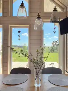 Родионова дача - 3