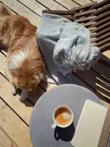 Родионова дача - 4