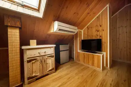 Жар-птица - 76