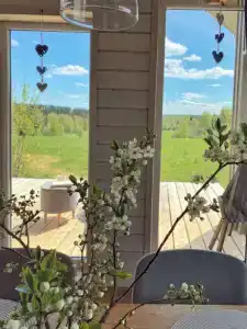 Родионова дача - 17