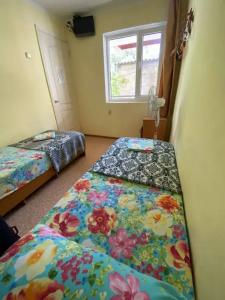 Guest House Ekaterina - 8