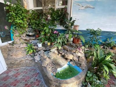 Guest House Ekaterina - 35