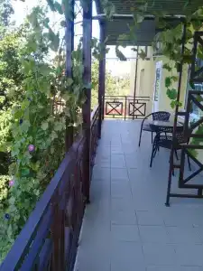 Добрый бобр - 17