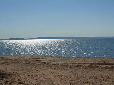Добрый бобр - 36