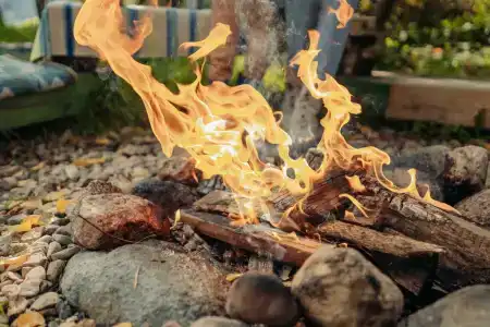 Дом на дереве - 5