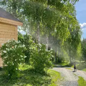 Хутор Васильевых - 62