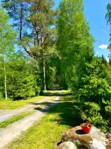 Хутор Васильевых - 55