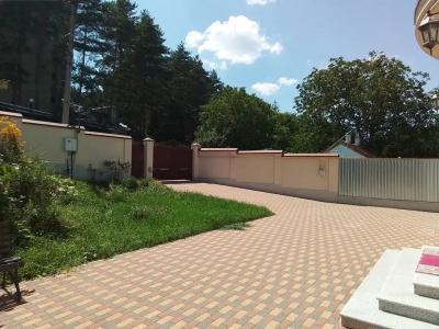 Вита - 60