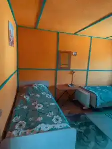 Алтай солнце - 40
