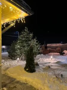 Тихий угол - 1