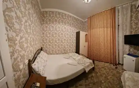 Дельфин - 15