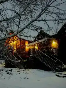 ПихтаHouse - 3