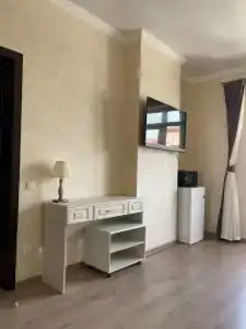 Авион - 10