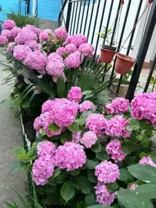 Бережок - 22