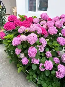 Бережок - 23