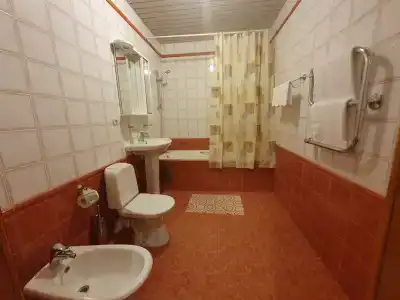 Туя - 11