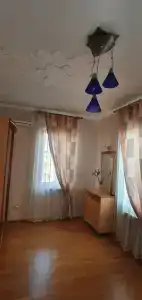 Туя - 10