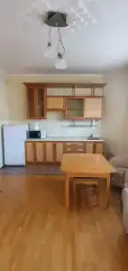 Туя - 9
