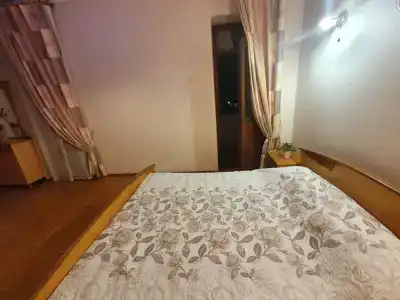 Туя - 5
