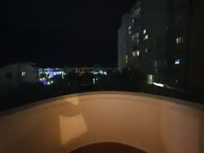 Туя - 13