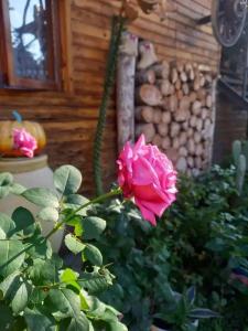 Гостевой дом на Луговой 13 - 29