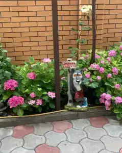 Натела - 2