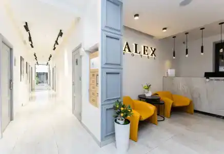 Alex - 2