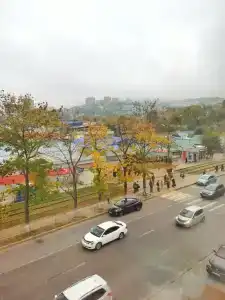 Бирюза - 8