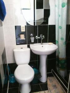 Александрия - 31